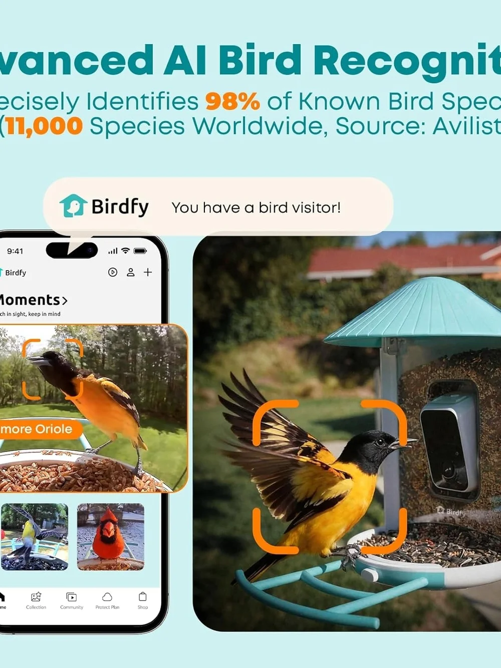 NETVUE by Birdfy Smart Bird Feeder with AI Camera